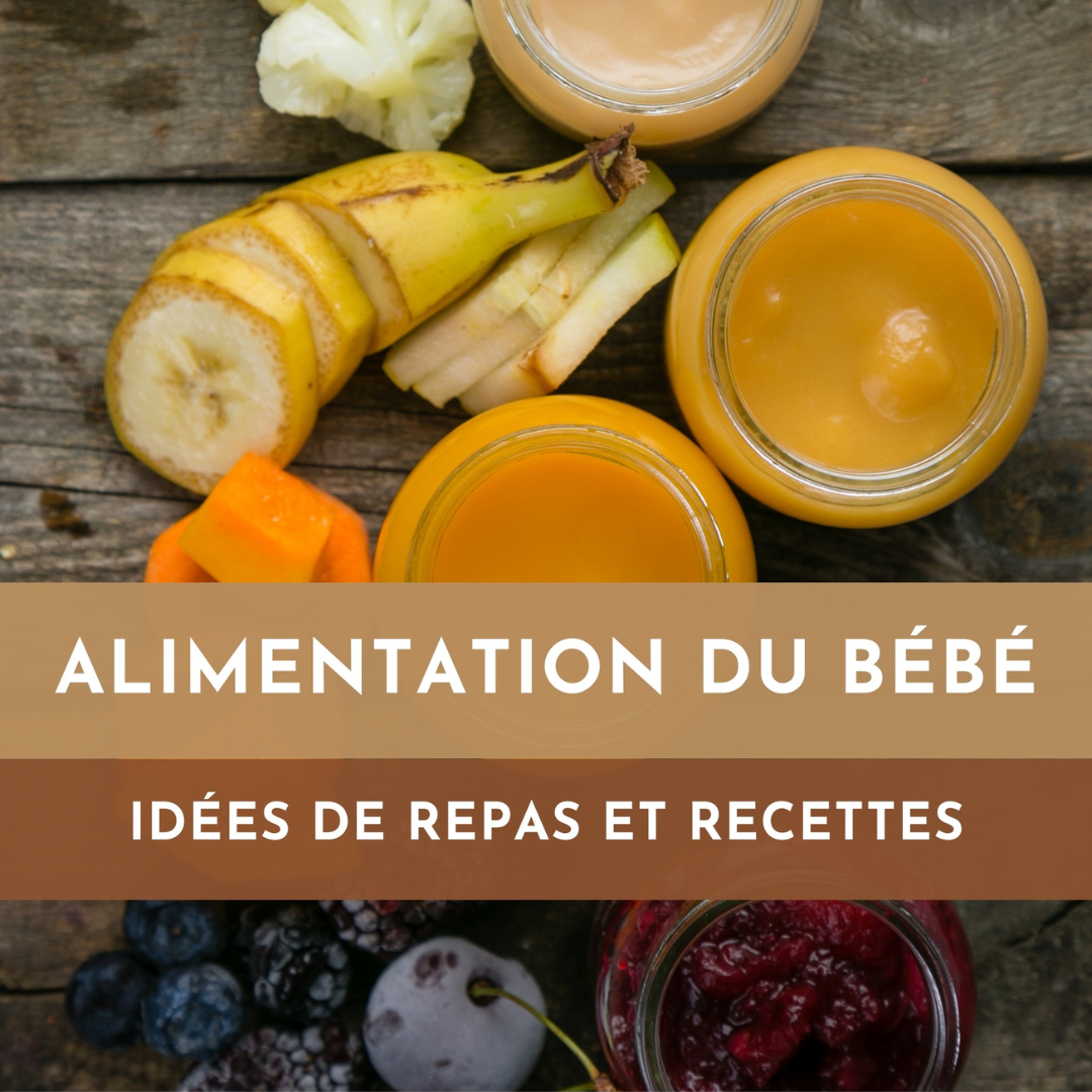 Livre Diversification Alimentaire | Ebook 27 pages | 20 idées de repas et recettes