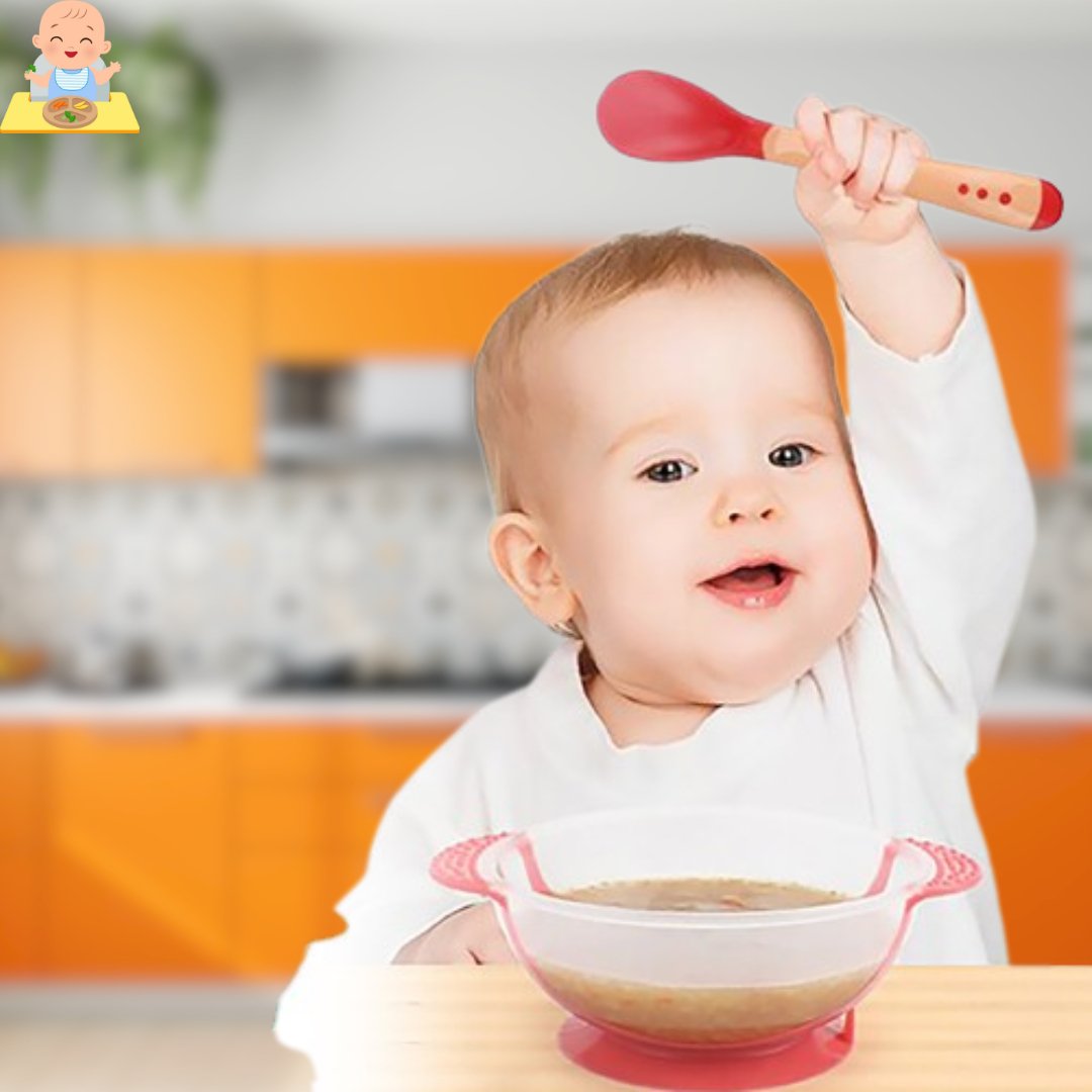 Bol ventouse | Octopus bowl™ - Les Repas de Bébé