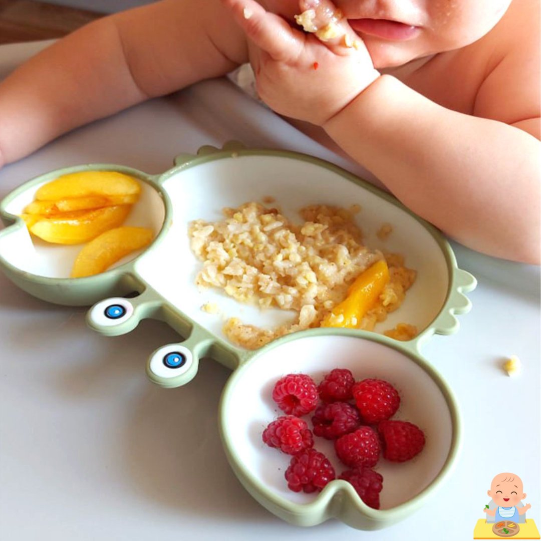 Coffret Repas 5 pièces | Crab'set™ - Les Repas de Bébé